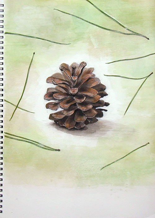 Watercolor painting of a pinecone by Go Hayakawa, used in the film Under the Same Moon