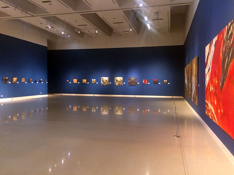 Wide installation view of Go Hayakawa’s gallery room displaying works across three walls at the Shijiazhuang Art Museum