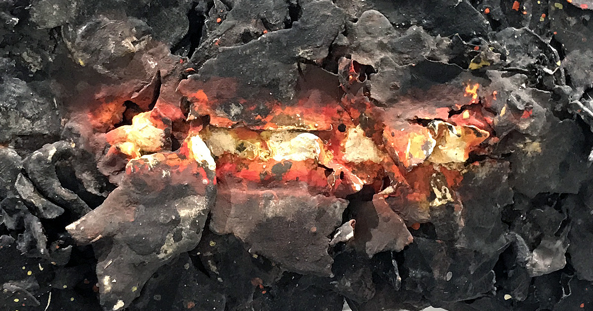 Journal 0 — The Starting Point Was a Collapse